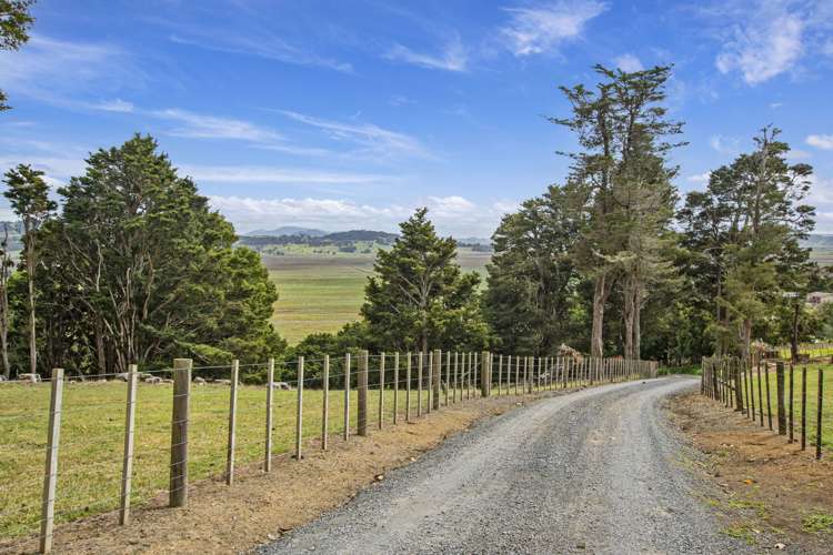 316 Crane Road Kauri_25