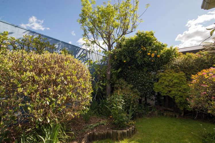 26 Robertson Street Glenholme_17