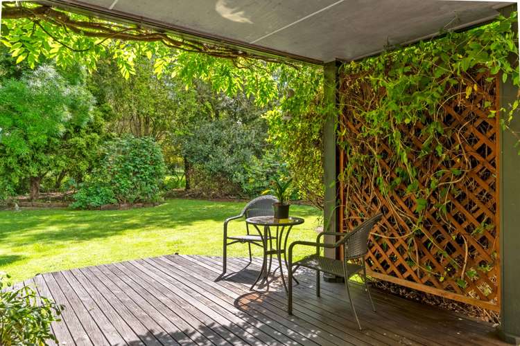 191 Upper Manaia Road Upper Plain_8