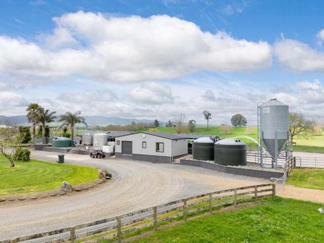 52 Kerr Road, RD 3, Te Poi Matamata_4