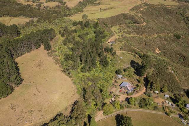 575 Mill Creek Road Kaimarama_4