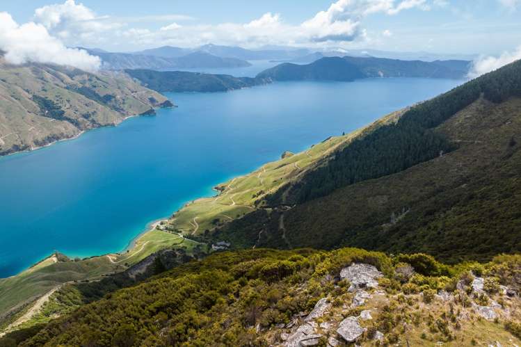 Lot 1 Anakoha Bay Marlborough Sounds_43