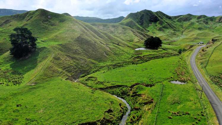 2269 Coast Road Pongaroa_18