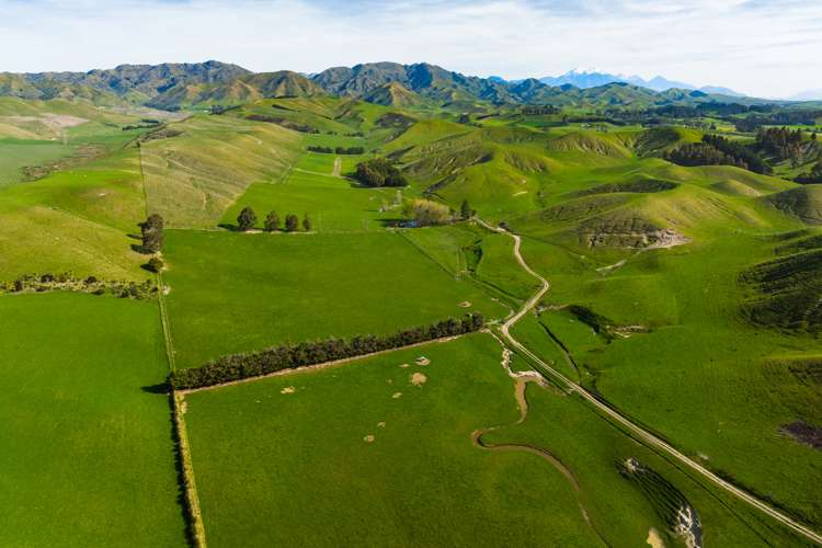 Marama Road Seddon_13