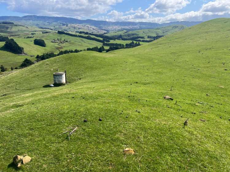 463 Waihi Valley Rd Dannevirke_18