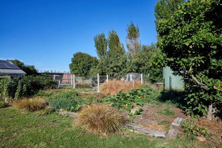 34 Goodshed Road Cheviot_30