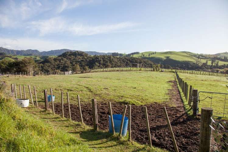 157 Parakiwai Quarry Road Whangamata_8