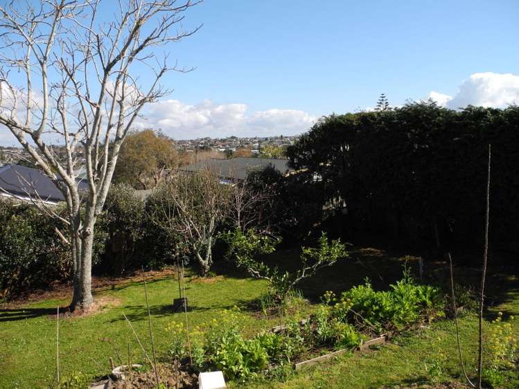 163 Cook Street Howick_10