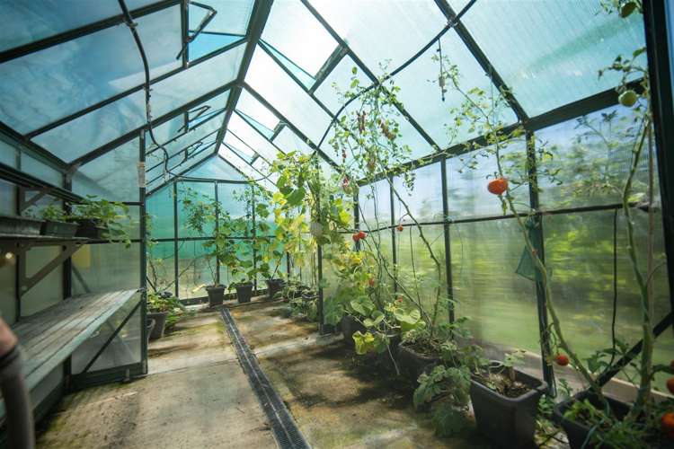 127 Redwood Valley Road Redwood Valley_28