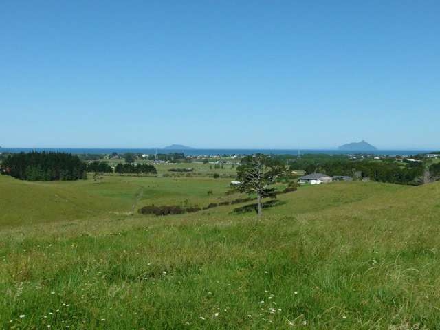 171 Prescott Road Ruakaka_1