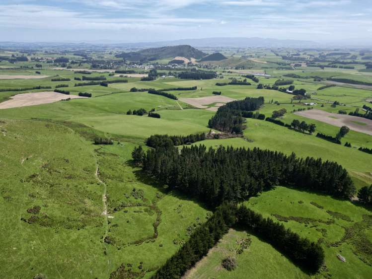 56 Hillfoot Road Clinton_17