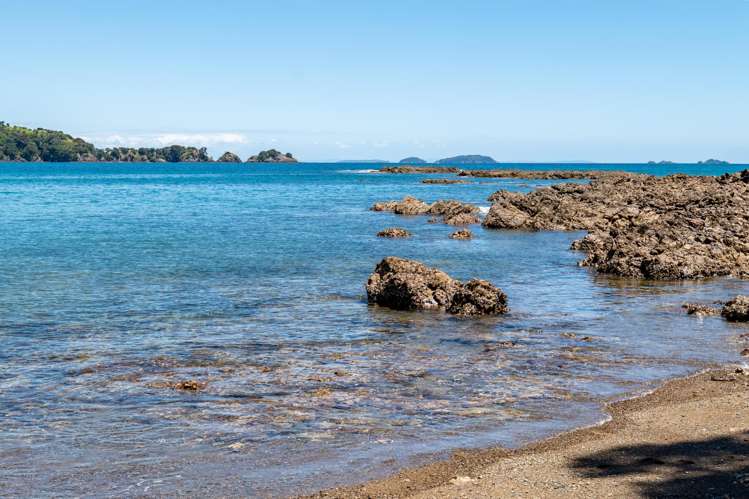 39 Te Aroha Avenue_5