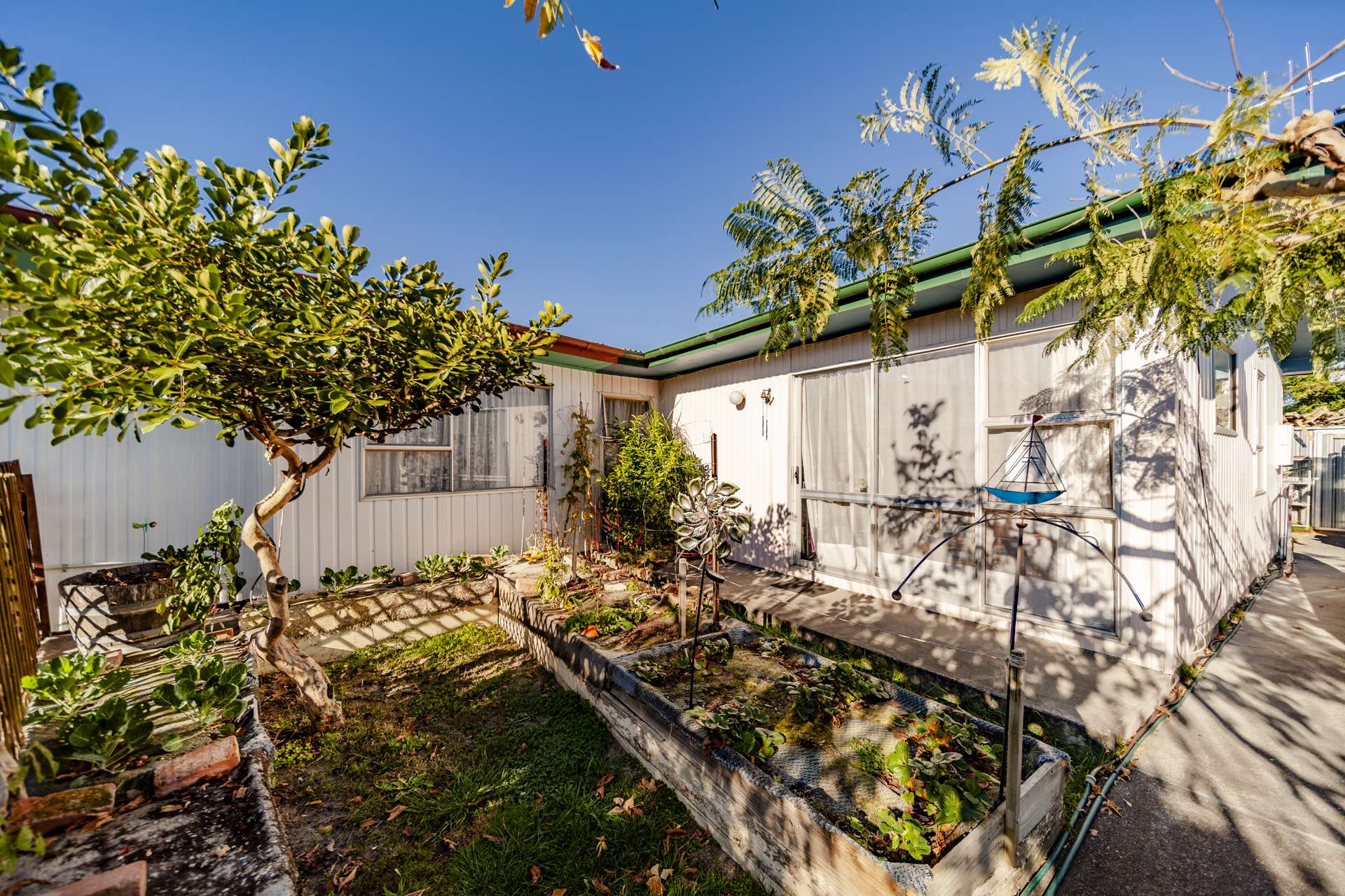 19 Plunket Street Tamatea_0