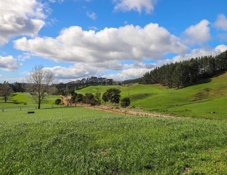 31 Mill Creek Road Whitianga_10