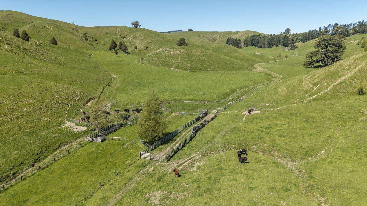 344 North Road_5