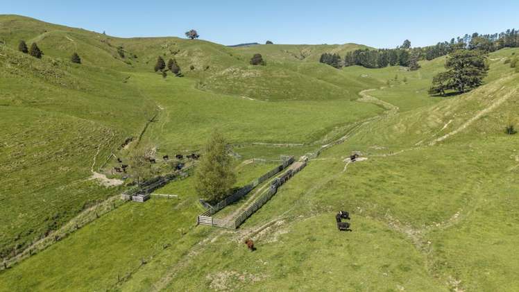 344 North Road Masterton_9
