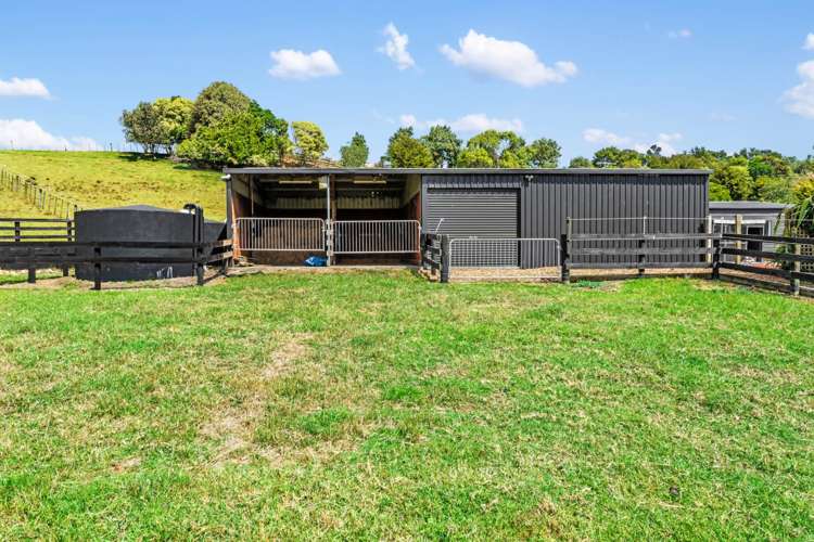 1539 State Highway 16 Helensville_28