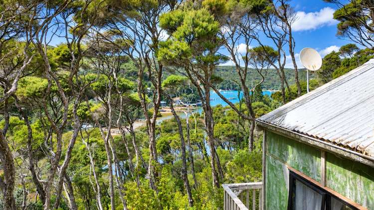 Lot 4 DP66008 North Cove Kawau Island_6