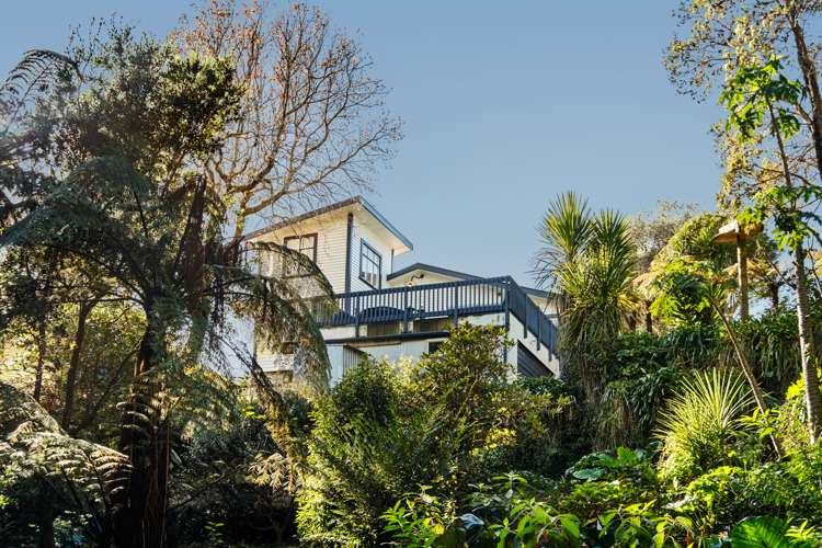 64 Cutfield Road New Plymouth Central_25