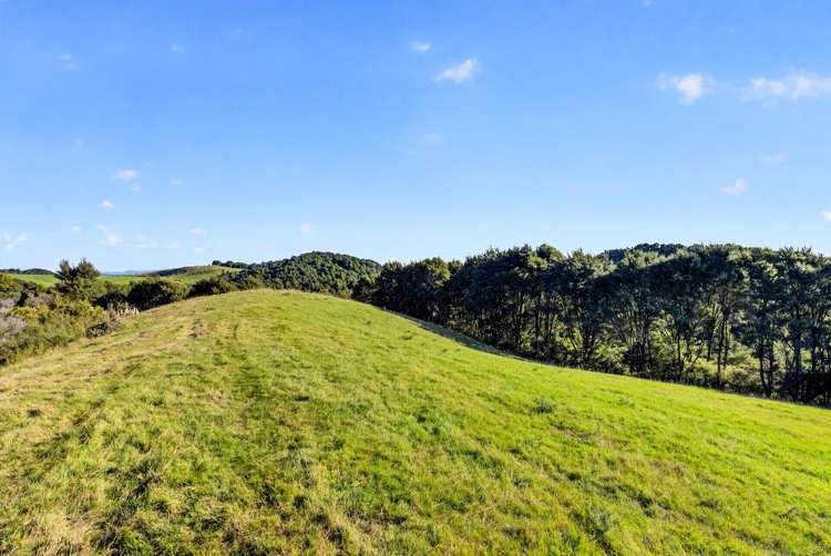 115 Sonja Drive Hunua_19