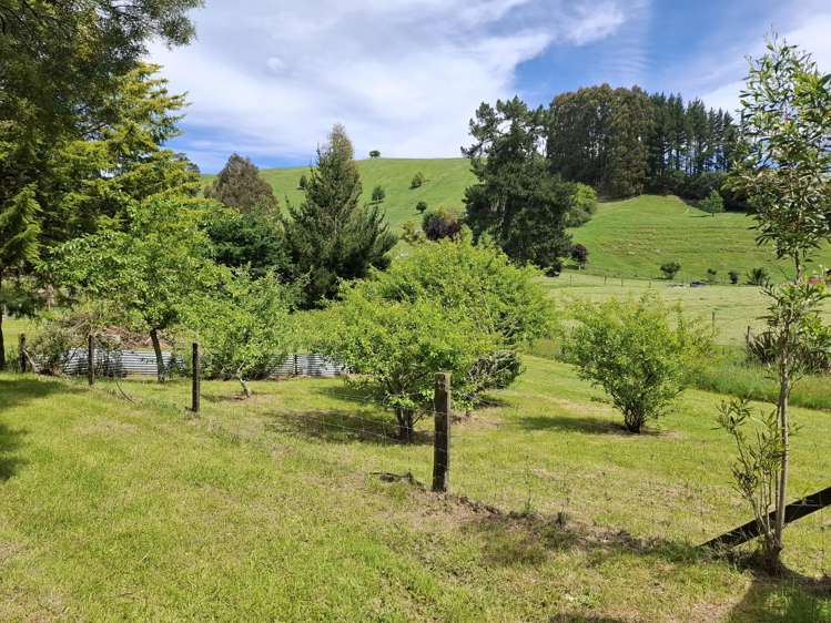 227 Whangamata Road Kinloch_1