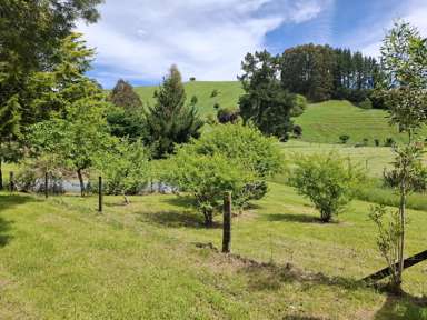 227 Whangamata Road_4