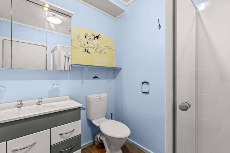 39 High Street Renwick_7