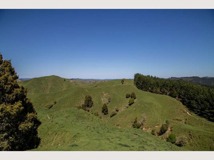 314 Kawautahi Road Owhango_14