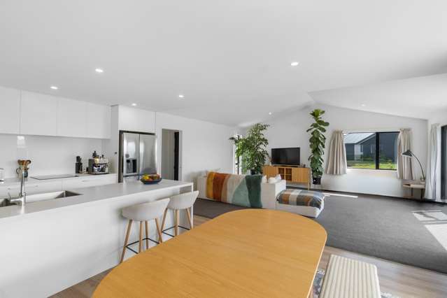 1 Adamite Drive Rolleston_1