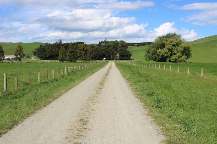 386 Otama Valley Road Gore Surrounds_13