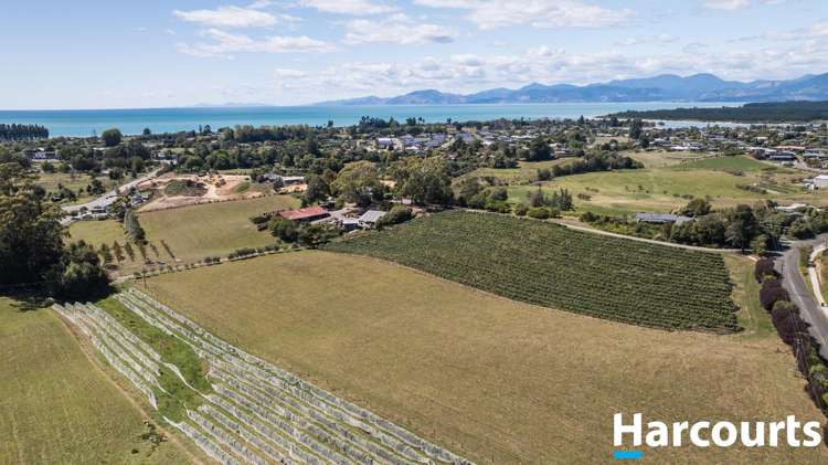 142 Higgs Road Mapua_25