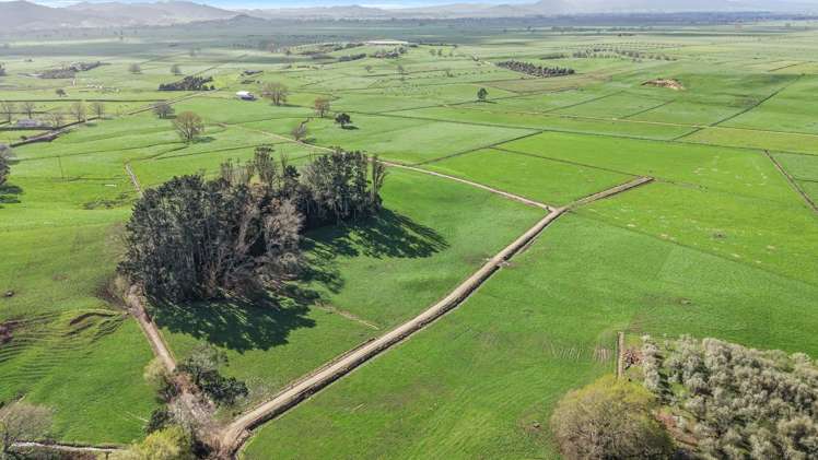 291 Waring Road Taupiri_33