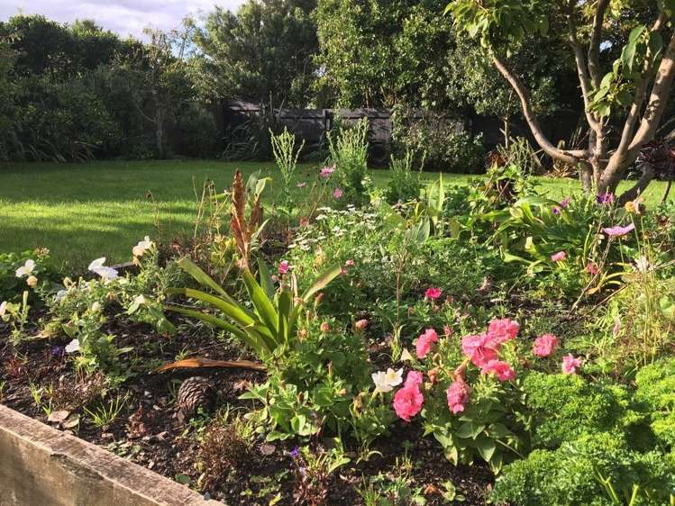 11a Hayward Street Featherston_5