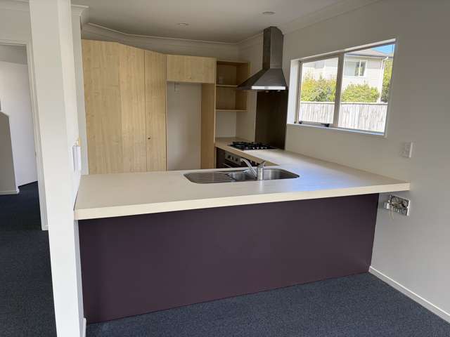 10 Trafalgar Street Johnsonville_2
