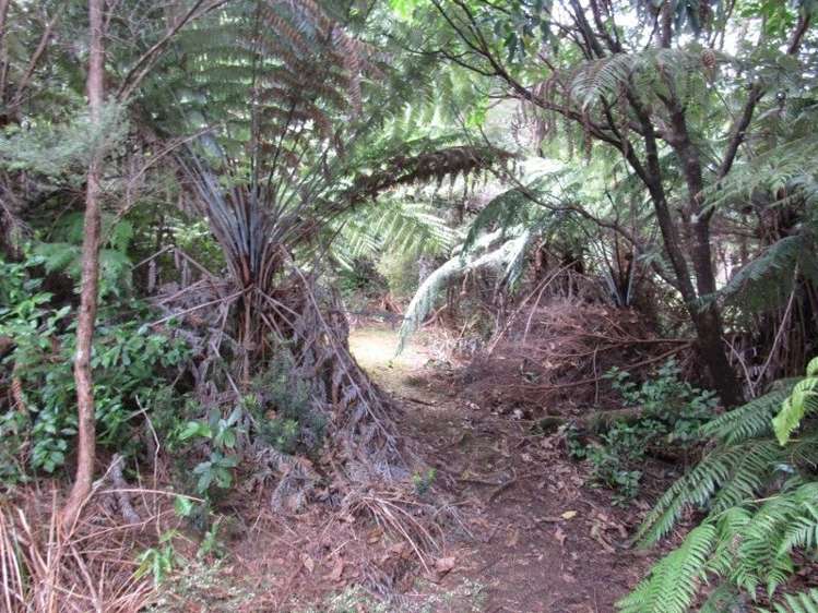 24 Goldfields Road Karangahake_11