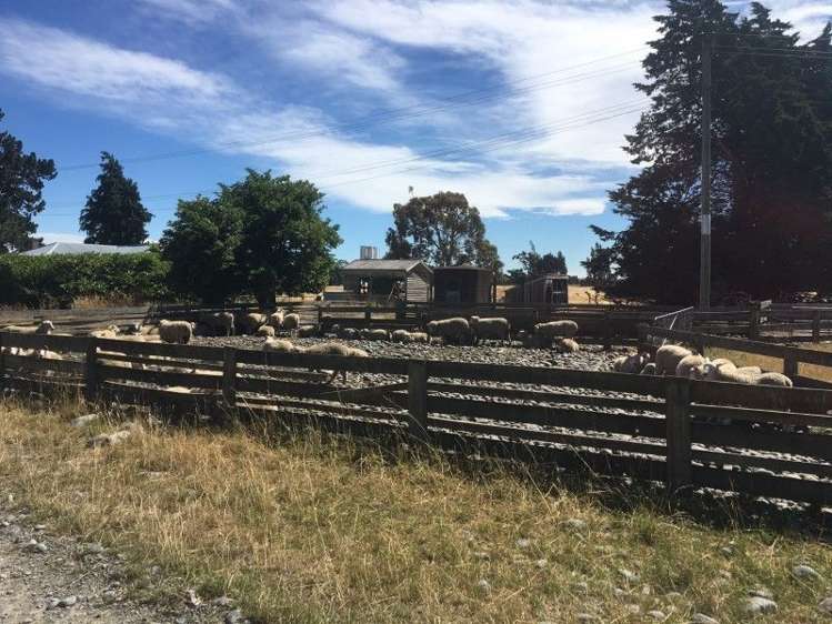 130 Mcleans Island Road Harewood_20