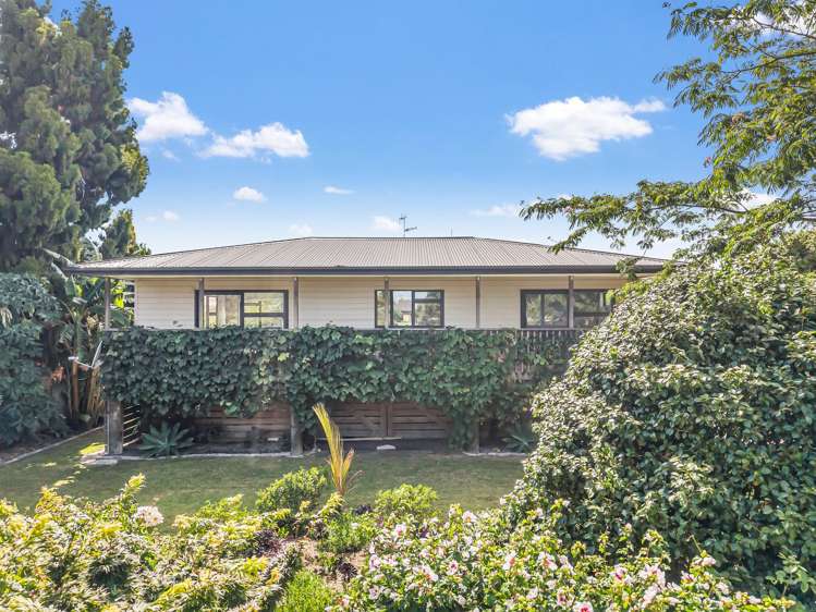 68B James Street Whakatane_6