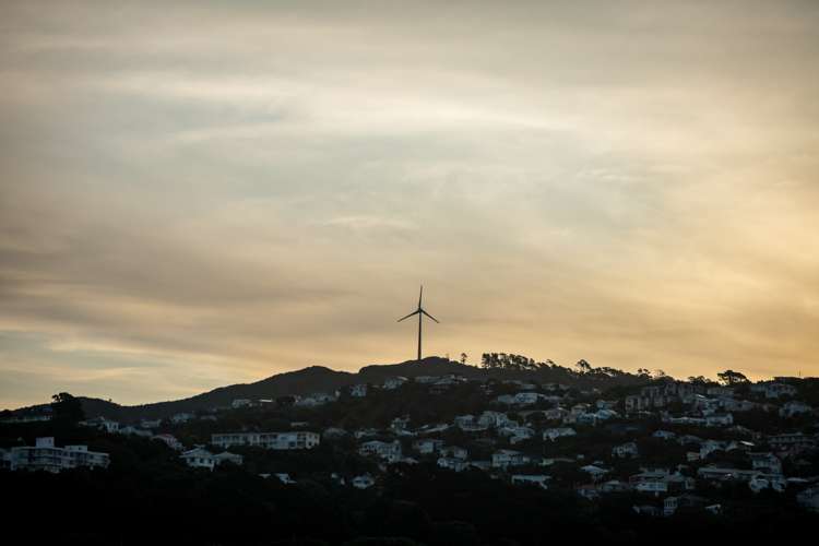 502/19 College Street Te Aro_20