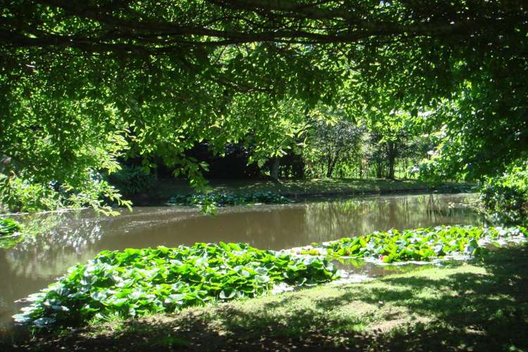 145b Helenslee Road Pokeno_57