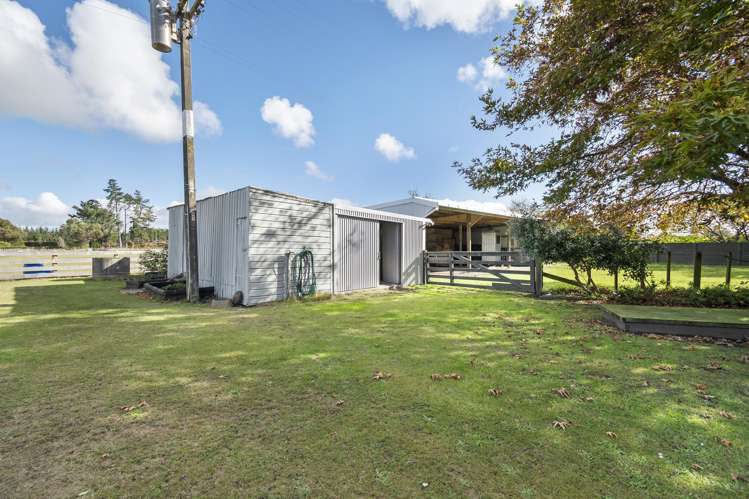 363 Brandon Hall Road Bulls_21