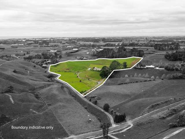 79 Dorset Road Hillsborough_1