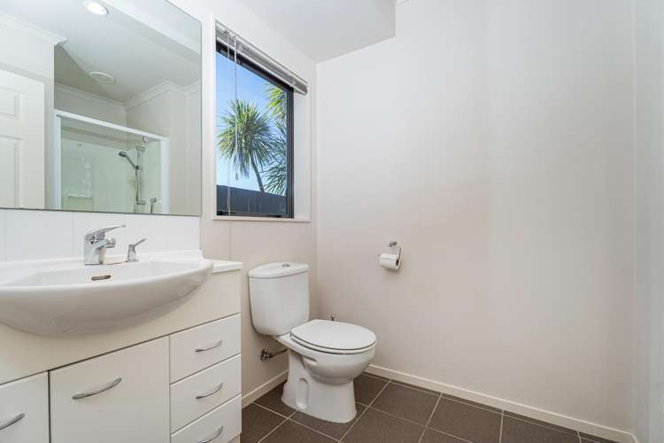 512 Matarangi Drive Matarangi_13