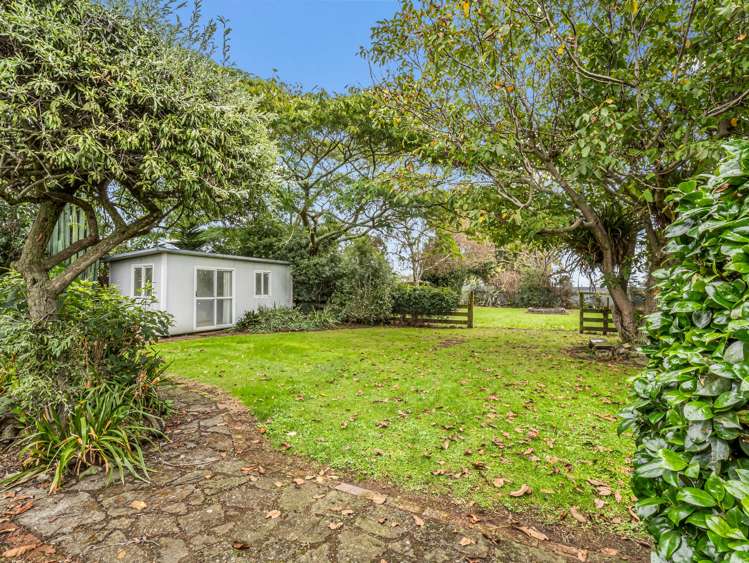 17 Sussex street Levin_21