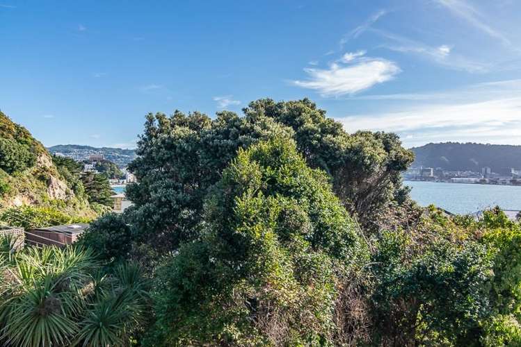 16C Carlton Gore Road Roseneath Wellington City Houses for Rent