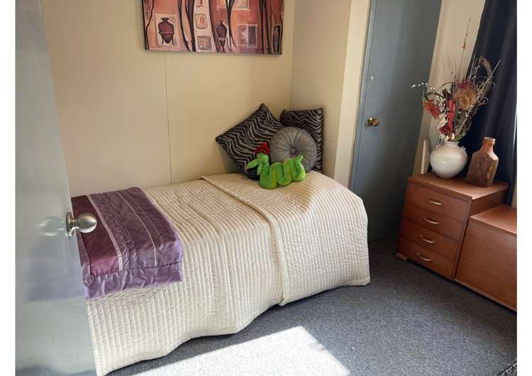 15 Mcandrew Street Kihikihi_8