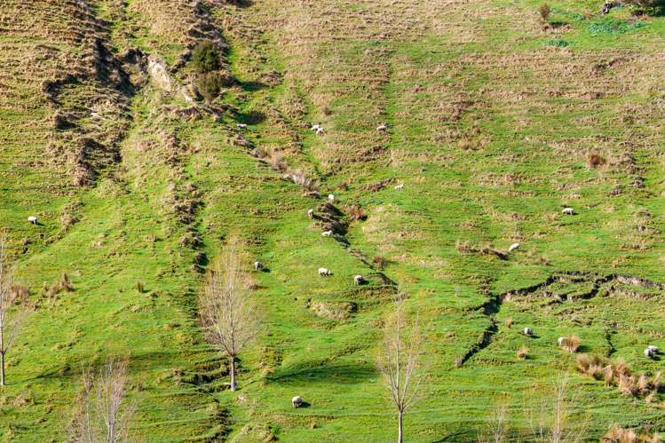 4 Creek Road Mangamahu_10