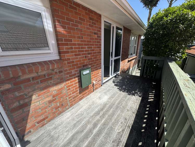 100 Melanesia Road St Heliers_12