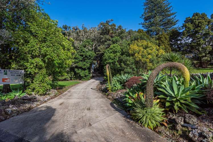 660 Ngunguru Road Glenbervie_26