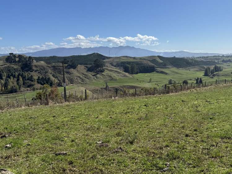 133 Owaikura Road Otorohanga_10
