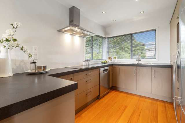 36 Katavich Place Mt Roskill_3